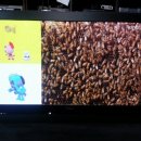 티디에스(TDS) 이미지