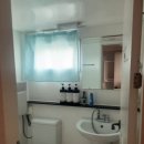 베일리하우스애견펜션 이미지