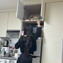(주)레이넷 | Bali 드가를드가