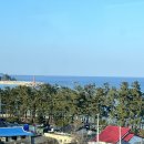 동해선 부전역 이미지