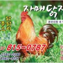 자매닭집