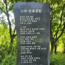 갈잎소 티스토리