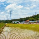 온곡마을 이미지