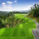 보성골프존 이미지