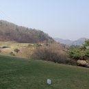 태양을향하여 | [마에스트로CC라운딩후기20230326] 양잔디로 조성된 정통 명문 골프장에서 짜릿한 아이언 삿 감을 느껴요