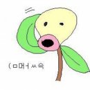 엘존Lzone