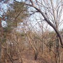 곡성군염곡보건진료소 | [스크랩] [전남 곡성]석곡 능파4거리~천왕봉(478m...상노치~염파보건진료소~한동산(648m)~봉림마을~능파...