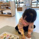 마마몽떼몬테소리 이미지