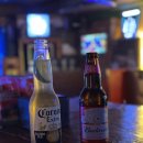 인하쿠나마타타 이미지