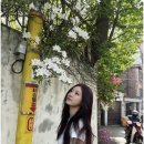 염색공간 이미지