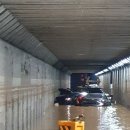 우장춘로 이미지