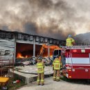 삼척양계장 이미지