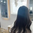 앨리붙임머리