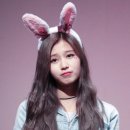 토끼사 이미지