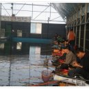 광석낚시터 이미지