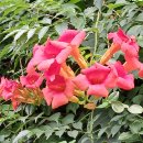 서울경내 3산(금호산~대현산~응봉산~서울숲) 산행 이미지