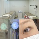 분당-249 | 분당 미금역 속눈썹 펌 잘하는 곳 디어래쉬 가격 노글루 펌 후기