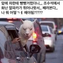 다성한정식 | 굳이 데이를 모아모아