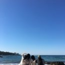 힘내세요