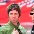 오아시스장 이미지