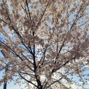 운정체육공원 축구장 이미지
