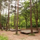 희리산자연휴양림야영장 연합뉴스