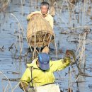 가래치기 이미지