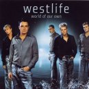 Seasons in the Sun (remake) / Westlife ~~~ 이미지