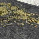 고사리민박 이미지