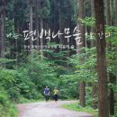 장성삼거리 이미지