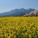 법수농원 이미지