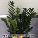 GS25장유관동점 네이버블로그