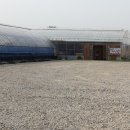 영만농장 이미지