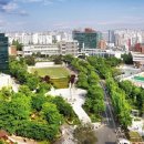 서울대학교