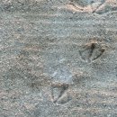 서07-401 | ꒰ 스페인 여행기 ꒱ 4 사그라다파밀리아 티켓, 사그라다파밀리아 예약, 바르셀로나 피카소미술관...