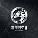 드래곤태권도 이미지