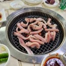 맛.아나고.산꼼장어