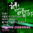칠월 이미지