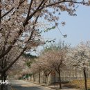 신미주공인중개사사무소 이미지