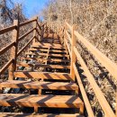 문산태양광발전소 이미지