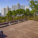 모전공원(분수광장) | [모전공원] 도심 속 특별한 친구, 전투기 보러 공원갈까?