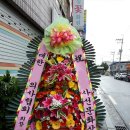 임실꽃화원 네이버블로그