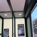 소풍길 들꽃산책 | 천안 가볼만한곳 나들이 아이들과 가기 좋은 독립기념관 무료입장 독립부릉이 가격