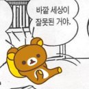 베이프 그린 퍼스트 카모 ma-1 보머 재킷 후기 / 리뷰
