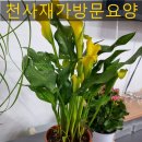 적성재가노인복지센터 이미지