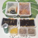 양팀장 김밥 이미지