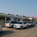 돌산캠핑장 이미지