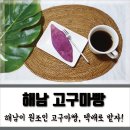 GR(해남군)-[남부순환로]-하-17 | 해남 고구마빵 택배로 집에서 즐기기
