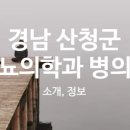 현대 신통 의원 이미지