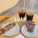 포항 영일대 애견동반 카페 로프 LOAF 내돈내산